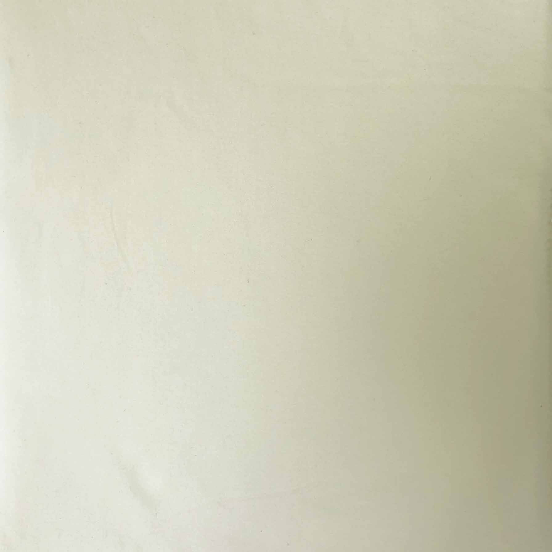 Plain Dyed Cotton Spandex Jersey (2368) - Image 3