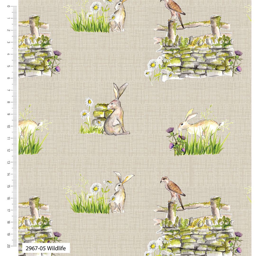 A Country Walk by Debbie Shore - Organic Cotton - 10" pre-cut squares (2966-05) - Image 6