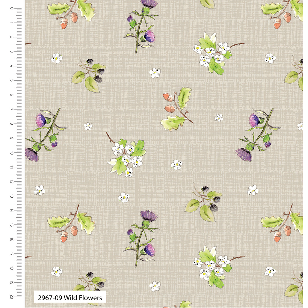 A Country Walk by Debbie Shore - Organic Cotton - 10" pre-cut squares (2966-05) - Image 10