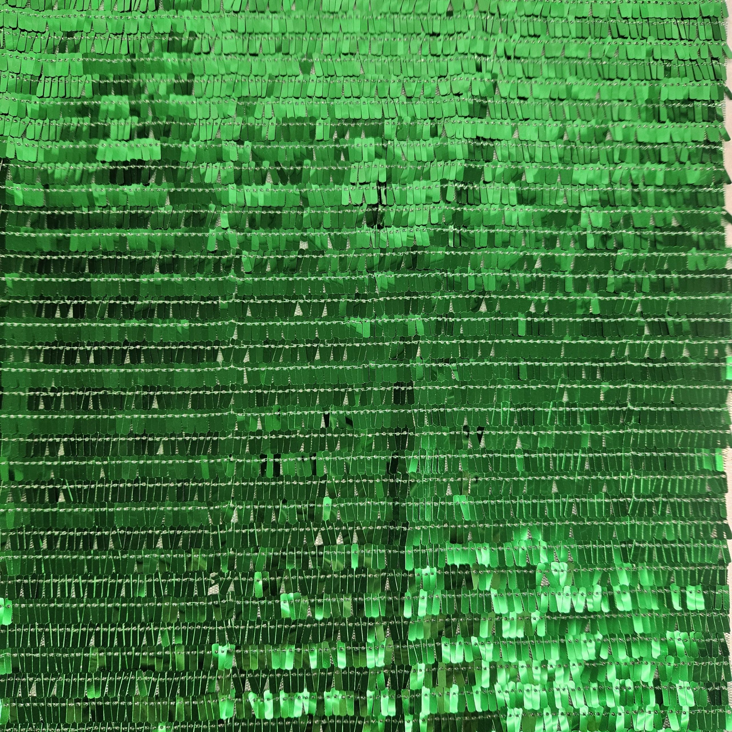 Net Fringe Delight Sequin (3604) - Image 2