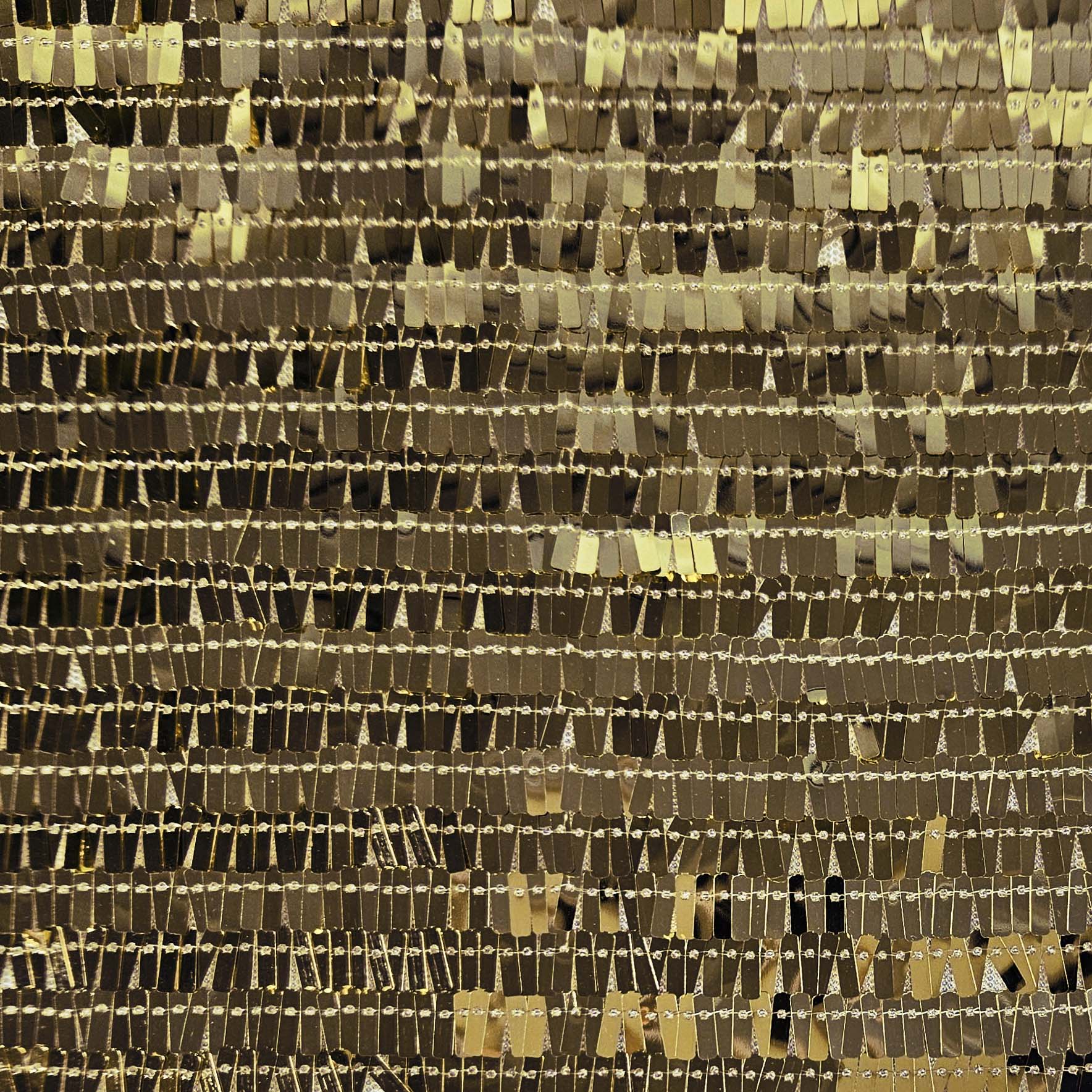 Net Fringe Delight Sequin (3604) - Image 6