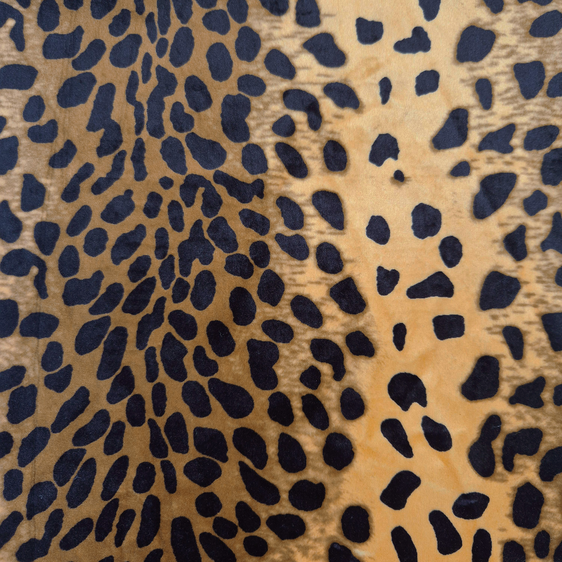 Animal Print - Velour (3706)